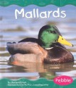 Mallards - Margaret C. Hall