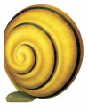 Snail - Giovanni Caviezel