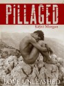 Pillaged - Kayci Morgan