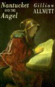 Nantucket and the Angel - Gillian Allnutt