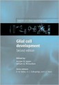 Glial Cell Development: Basic Principles and Clinical Relevance - Kristjan R. Jessen, William D. Richardson