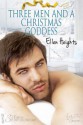 Three Men and a Christmas Goddess - Ellen Heights