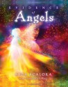 Evidence of Angels - Suza Scalora