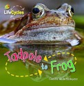 Tadpole To Frog - Camilla De la Bédoyère