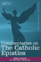 Commentaries on the Catholic Epistles - John Calvin