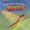 The Bizarre Life Cycle of a Mayfly - Greg Roza