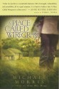 A Place Called Wiregrass - Michael Morris