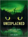 Unexplained: An Encyclopedia of Curious Phenomena, Strange Superstitions, and Ancient Mysteries - Judy Allen