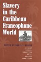 Slavery in the Caribbean Francophone World: Distant Voices, Forgotten Acts, Forged Identities - Doris Y. Kadish