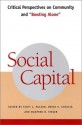 Social Capital: Critical Perspectives on Community and "Bowling Alone" - David A. Schultz, Manfred B. Steger