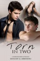 Torn In Two - S.L. Armstrong, G.S. Wiley, Lee Cairney, Kelly Rand