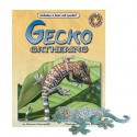 Gecko Gathering - Vanessa Giancamilli