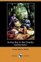 Sunny Boy in the Country (Illustrated Edition) (Dodo Press) - Ramy Allison White