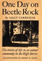 One Day On Beetle Rock - Sally Carrighar