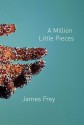 A Million Little Pieces (Audio) - James Frey