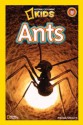 National Geographic Readers: Ants - Melissa Stewart