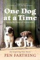 One Dog at a Time: Saving the Strays of Afghanistan - Pen Farthing