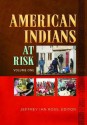 American Indians at Risk [2 Volumes] - Jeffrey Ian Ross