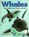 Whales: Killer Whales, Blue Whales And More (Kids Can Press Wildlife Series) - Deborah Hodge