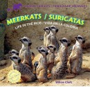 Meerkats/Suricatas: Life in the Mob/Vida En La Colonia - Willow Clark, Eduardo Alaman