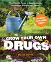 Grow Your Own Drugs: The Top 100 Plants to Grow or Get to Treat Arthritis, Migraines, Coughs and more! - James Wong