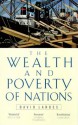 The Wealth and Poverty of Nations: Why Some are So Rich and Some So Poor - David S. Landes