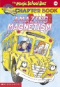 Amazing Magnetism - Rebecca Carmi, Judith Bauer Stamper, John Speirs, Joanna Cole, Bruce Degen