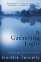 A Gathering Light - Jennifer Donnelly