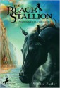 The Black Stallion - Walter Farley