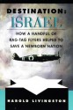 Destination Israel: How A Handful Of Rag Tag Flyers Helped To Save A Newborn Nation - Harold Livingston