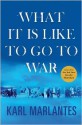 What It Is Like to Go to War - Karl Marlantes