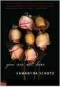 You Are Not Here - Samantha Schutz