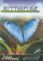 Butterflies - Jason Cooper