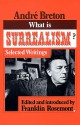 What is Surrealism?: Selected Writings - André Breton, Franklin Rosemont