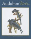 Audubon Birds: 252 Prints from the Birds of America - John James Audubon, David Reinhardt