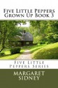 Five Little Peppers Grown Up Book 3 - Margaret Sidney