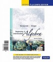 Beginning & Intermediate Algebra: With Applications and Visualization (Loose-Leaf) - Gary K. Rockswold, Terry A. Krieger