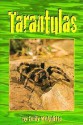 Tarantulas - Emily McAuliffe