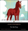 The Red Pony (MP3 Book) - John Steinbeck, Frank Muller