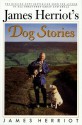 James Herriot's Dog Stories: Warm And Wonderful Stories About The Animals Herriot Loves Best - James Herriot