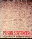 Prison Sentences: The Prison as Site/The Prison as Subject - Richard Tyler, Lucy R. Lippard, T. Gilens