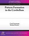 Pattern Formation in the Cerebellum - Carol Armstrong, Richard Hawkes