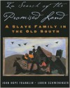 In Search of the Promised Land: A Slave Family in the Old South (New Narratives in American History) - John Hope Franklin, Loren Schweninger