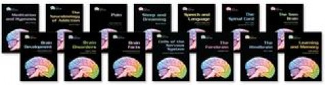 Gray Matter Set - Eric H. Chudler, Krista West, Carl Y. Saab