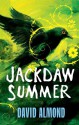 Jackdaw Summer - David Almond