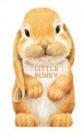 Little Bunny (Board Book) - Giovanni Caviezel, Laura Rigo