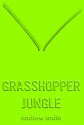 Grasshopper Jungle - Andrew Smith