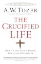 The Crucified Life: How To Live Out A Deeper Christian Experience - A.W. Tozer, James L. Snyder