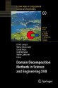 Domain Decomposition Methods in Science and Engineering XVII - Marco Discacciati