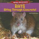 Rats: Biting Through Concrete! - Emma Carlson Berne